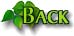 back.jpg (1931 bytes)